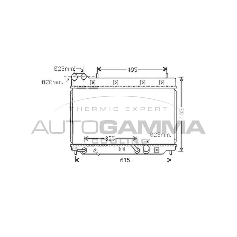 Radiateur, refroidissement du moteur AUTOGAMMA 104263