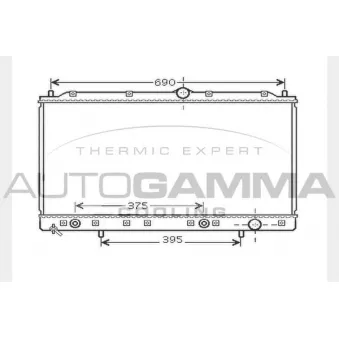 Radiateur, refroidissement du moteur AUTOGAMMA 104287