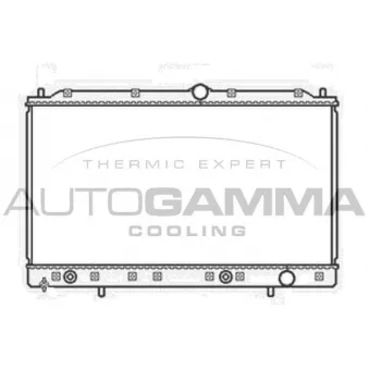 Radiateur, refroidissement du moteur AUTOGAMMA