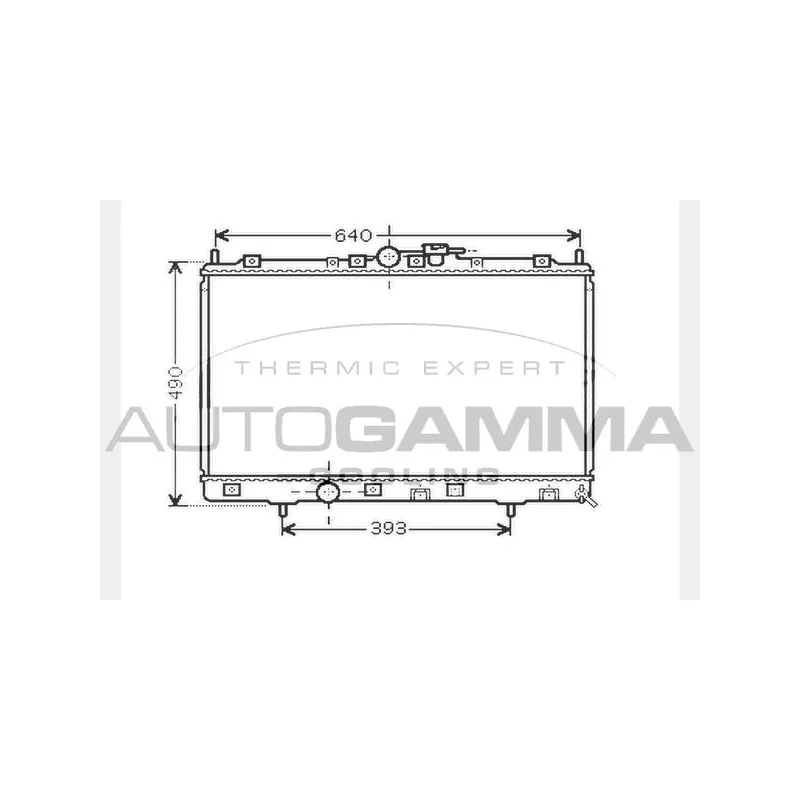 Radiateur, refroidissement du moteur AUTOGAMMA 104294