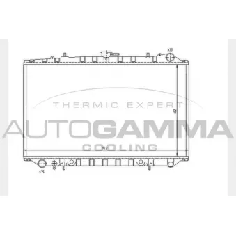 Radiateur, refroidissement du moteur AUTOGAMMA 104312