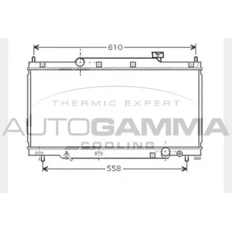 Radiateur, refroidissement du moteur AUTOGAMMA 104319