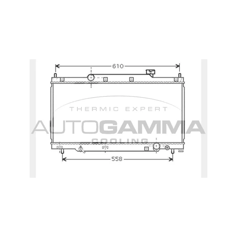 Radiateur, refroidissement du moteur AUTOGAMMA 104319