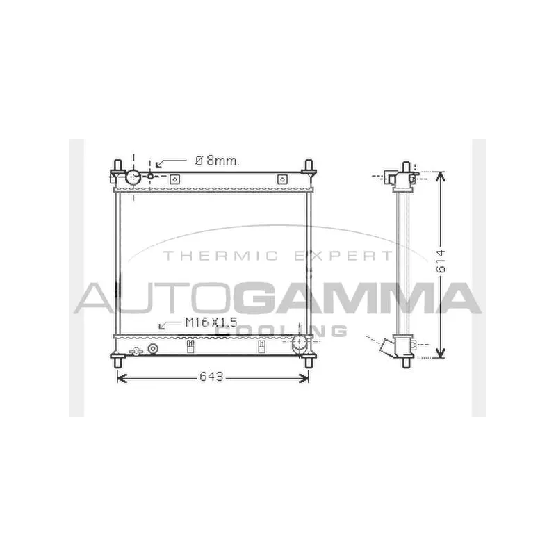 Radiateur, refroidissement du moteur AUTOGAMMA 104371
