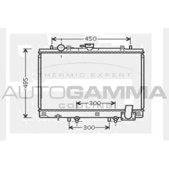 Radiateur, refroidissement du moteur AUTOGAMMA 104420