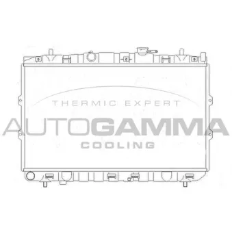 Radiateur, refroidissement du moteur AUTOGAMMA 104474