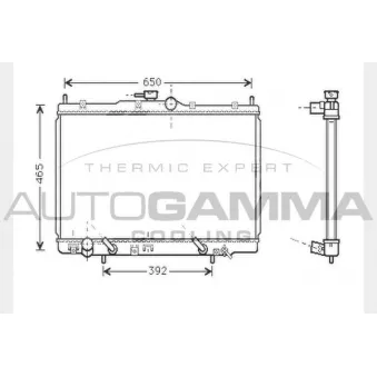 Radiateur, refroidissement du moteur AUTOGAMMA 104511