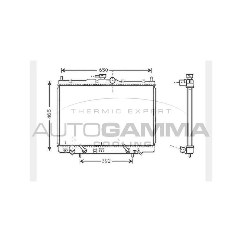 Radiateur, refroidissement du moteur AUTOGAMMA 104511