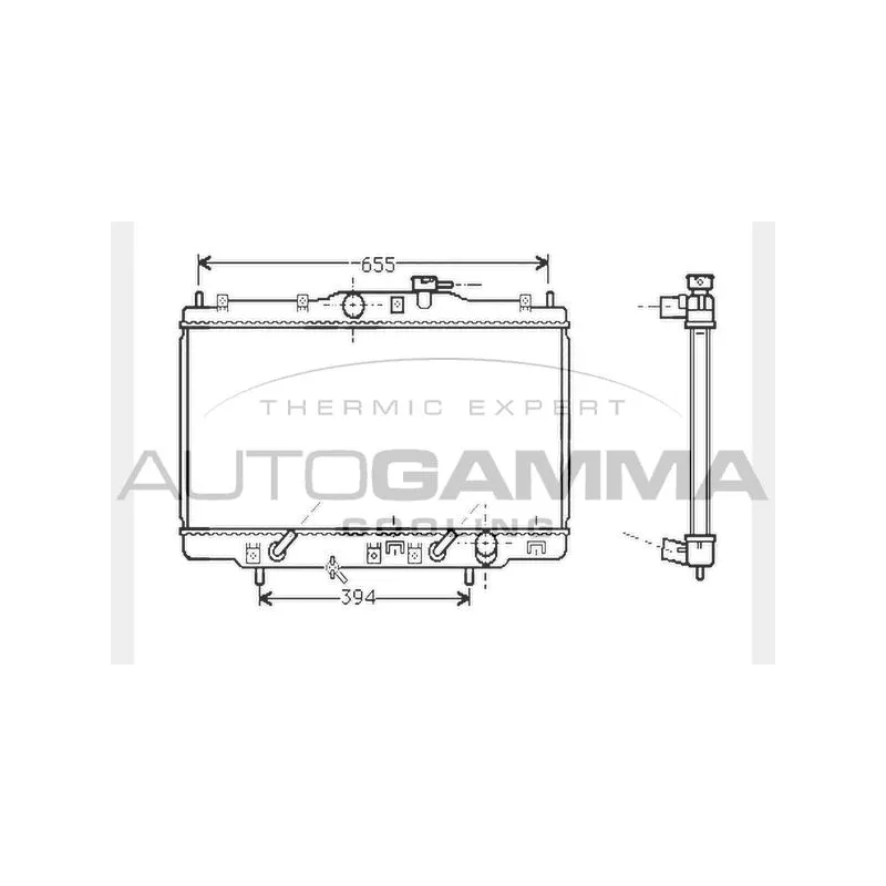 Radiateur, refroidissement du moteur AUTOGAMMA 104513