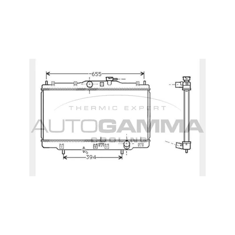 Radiateur, refroidissement du moteur AUTOGAMMA 104514