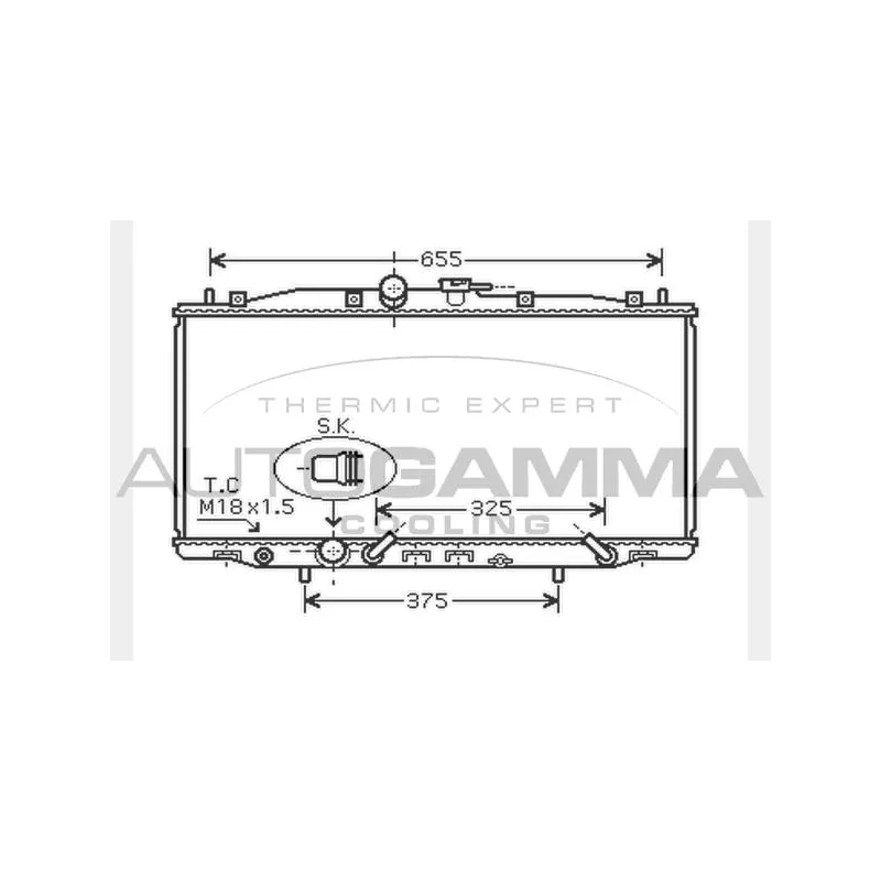 Radiateur, refroidissement du moteur AUTOGAMMA 104515