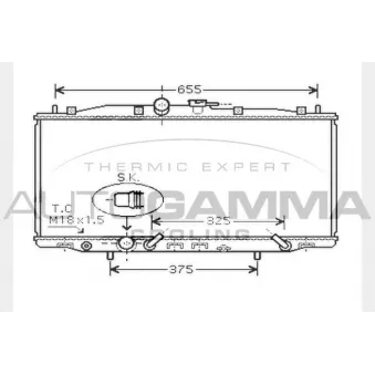 Radiateur, refroidissement du moteur AUTOGAMMA 104517