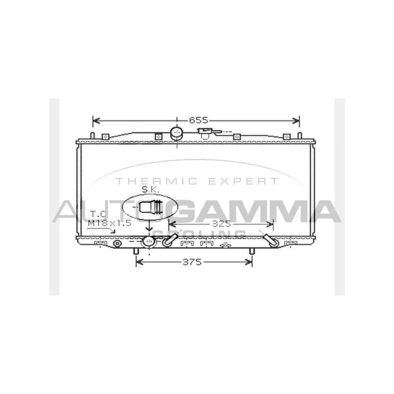 Radiateur, refroidissement du moteur AUTOGAMMA 104517