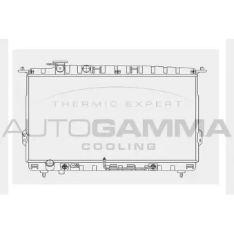 Radiateur, refroidissement du moteur AUTOGAMMA 104518