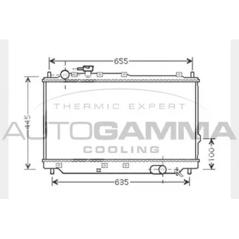 Radiateur, refroidissement du moteur AUTOGAMMA 104521