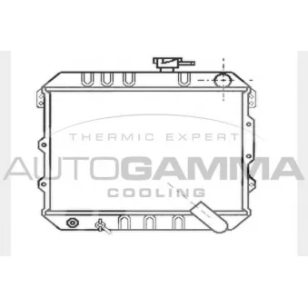 Radiateur, refroidissement du moteur AUTOGAMMA