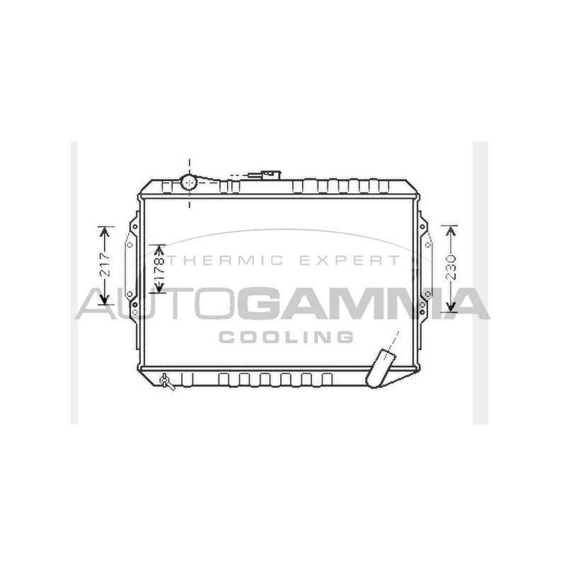 Radiateur, refroidissement du moteur AUTOGAMMA 104548