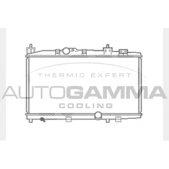 Radiateur, refroidissement du moteur AUTOGAMMA 104566
