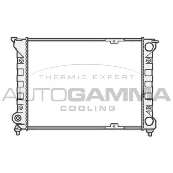 Radiateur, refroidissement du moteur AUTOGAMMA 104575