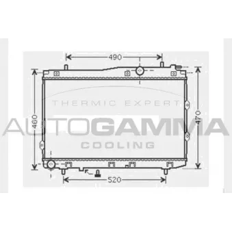Radiateur, refroidissement du moteur AUTOGAMMA 104594