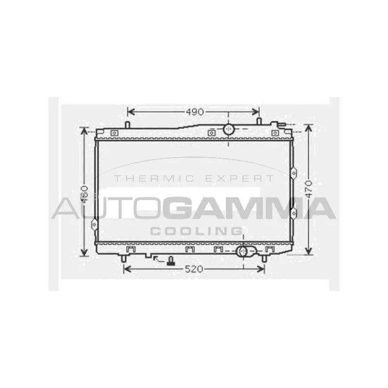 Radiateur, refroidissement du moteur AUTOGAMMA 104595