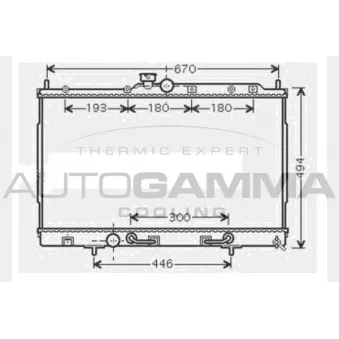 Radiateur, refroidissement du moteur AUTOGAMMA 104604