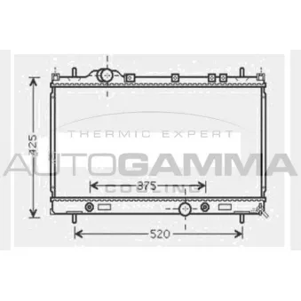 Radiateur, refroidissement du moteur AUTOGAMMA 104632