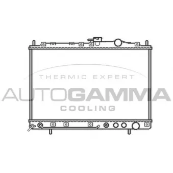 Radiateur, refroidissement du moteur AUTOGAMMA 104656