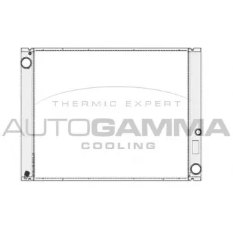 Radiateur, refroidissement du moteur AUTOGAMMA