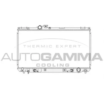 Radiateur, refroidissement du moteur AUTOGAMMA
