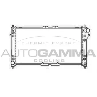 Radiateur, refroidissement du moteur AUTOGAMMA 104675