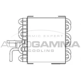 Radiateur, refroidissement du moteur AUTOGAMMA 104686