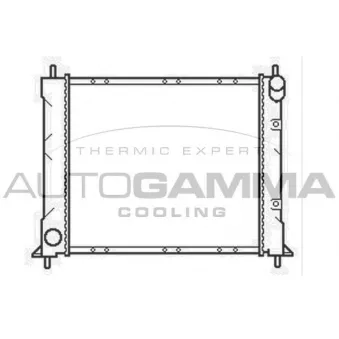 Radiateur, refroidissement du moteur AUTOGAMMA 104701