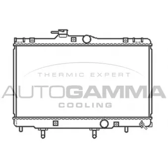 Radiateur, refroidissement du moteur AUTOGAMMA 104722