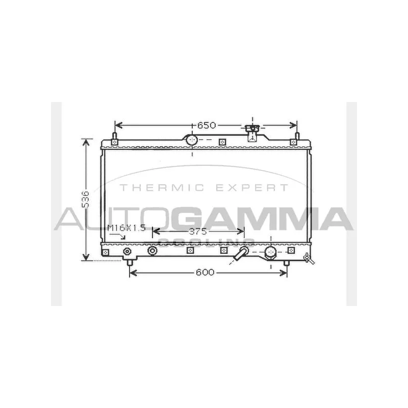 Radiateur, refroidissement du moteur AUTOGAMMA 104744