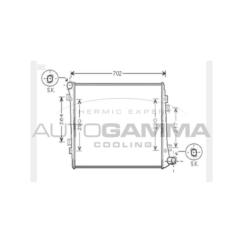 Radiateur, refroidissement du moteur AUTOGAMMA 104748