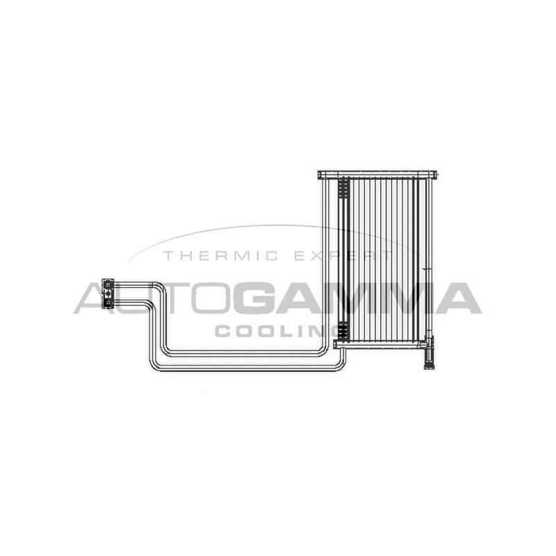 Radiateur d'huile AUTOGAMMA 104782