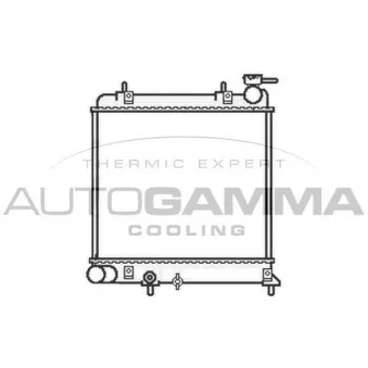 Radiateur, refroidissement du moteur AUTOGAMMA