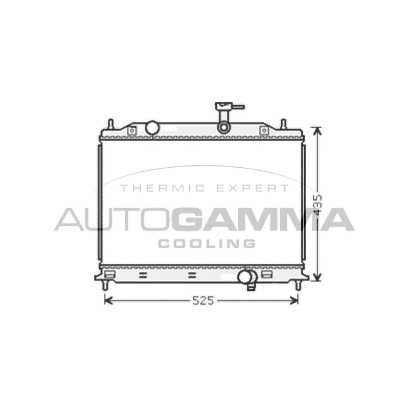 Radiateur, refroidissement du moteur AUTOGAMMA 104847