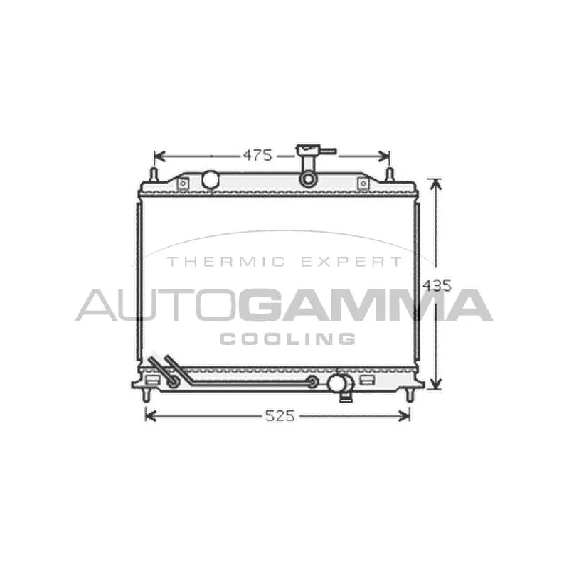 Radiateur, refroidissement du moteur AUTOGAMMA 104848