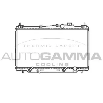 Radiateur, refroidissement du moteur AUTOGAMMA