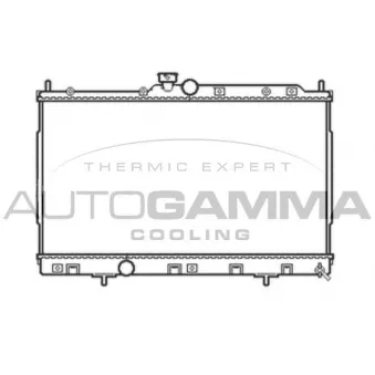Radiateur, refroidissement du moteur AUTOGAMMA 105051