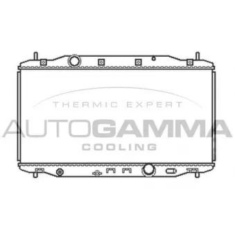 Radiateur, refroidissement du moteur AUTOGAMMA