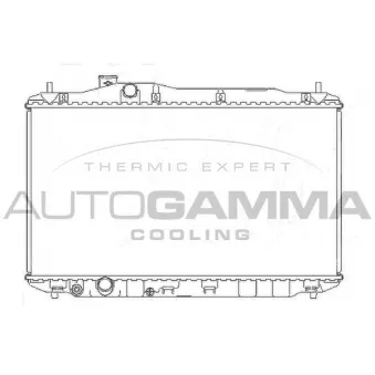 Radiateur, refroidissement du moteur AUTOGAMMA 105135