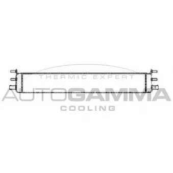 Radiateur, refroidissement du moteur AUTOGAMMA 105171