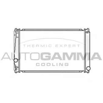 Radiateur, refroidissement du moteur AUTOGAMMA 105185