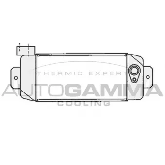 Radiateur d'huile AUTOGAMMA 105201