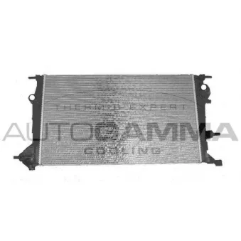 Radiateur, refroidissement du moteur AUTOGAMMA 105219