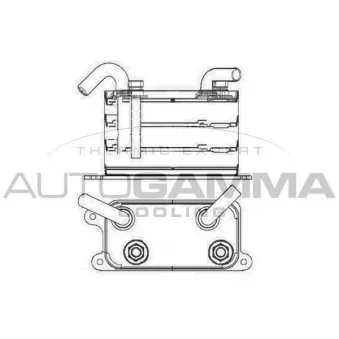 Radiateur d'huile AUTOGAMMA 105228