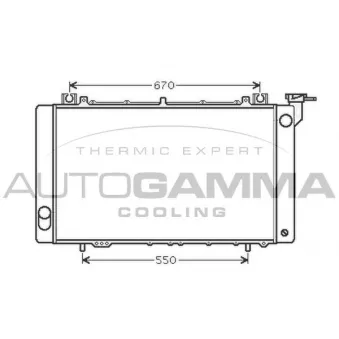 Radiateur, refroidissement du moteur AUTOGAMMA 105305